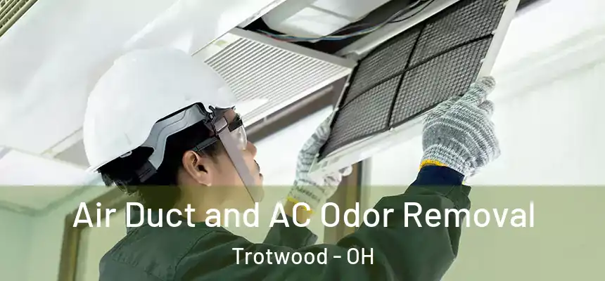 Air Duct and AC Odor Removal Trotwood - OH