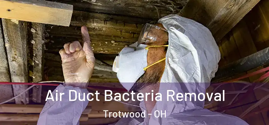  Air Duct Bacteria Removal Trotwood - OH