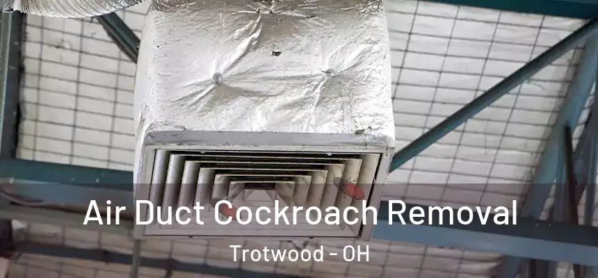  Air Duct Cockroach Removal Trotwood - OH