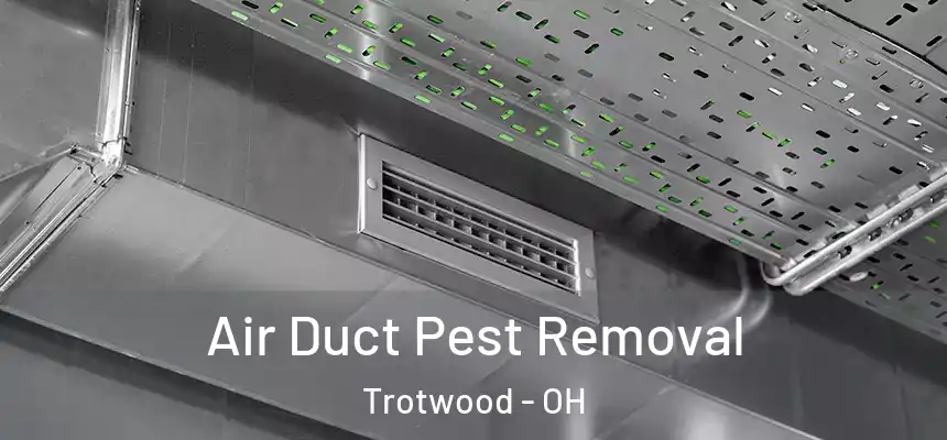  Air Duct Pest Removal Trotwood - OH