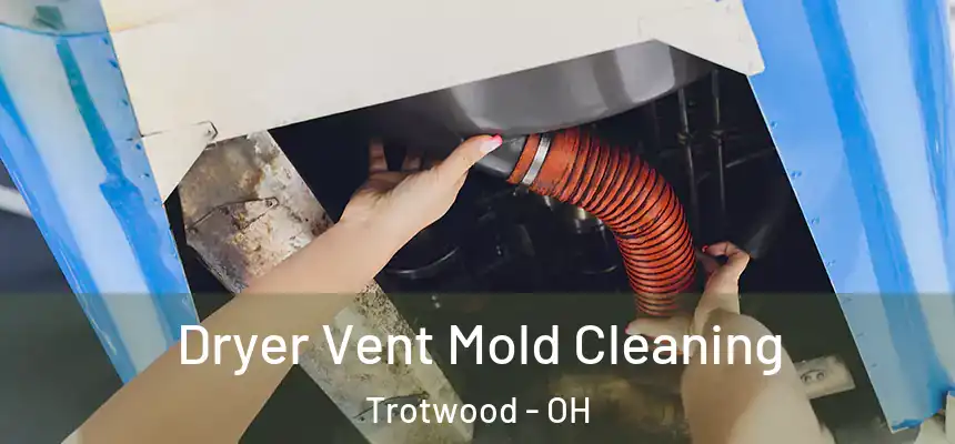  Dryer Vent Mold Cleaning Trotwood - OH