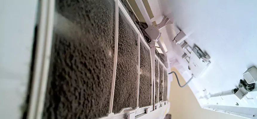 Preventive Air Duct Bacteria Removal in Trotwood