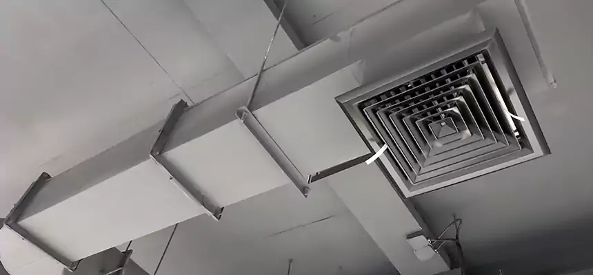 Our Pest Removal From Ducts Services in Trotwood, OH