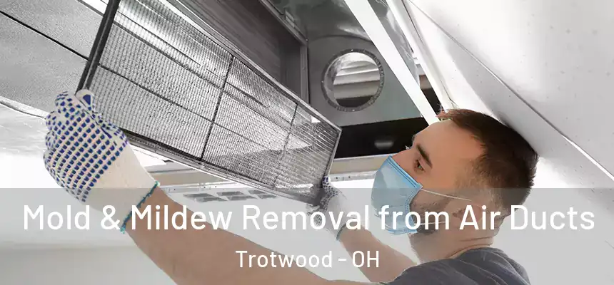  Mold & Mildew Removal from Air Ducts Trotwood - OH
