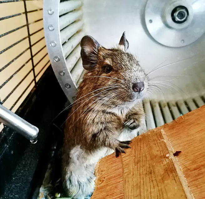 Why Homeowners & Businesses Trust Us Trotwood, OH?